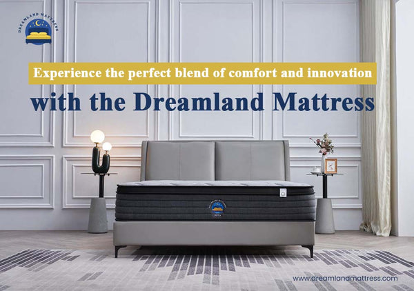 Dreamland Nova Double Mattress with 5-zoned pocket springs and premium
memory foam for spinal alignment and ultimate comfort.
